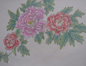 彩色花卉铅笔画-艳丽的牡丹花