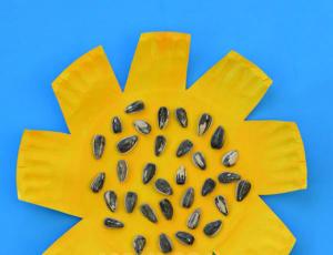 儿童纸盘DIY 美丽向日葵