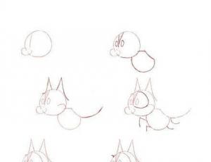 三种卡通猫咪简笔画的画法教程