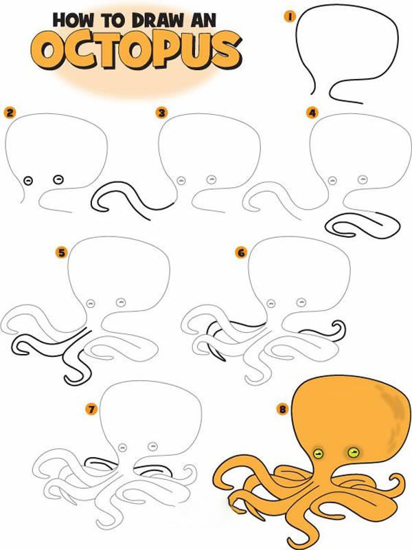 简笔画彩色章鱼的画法图片
