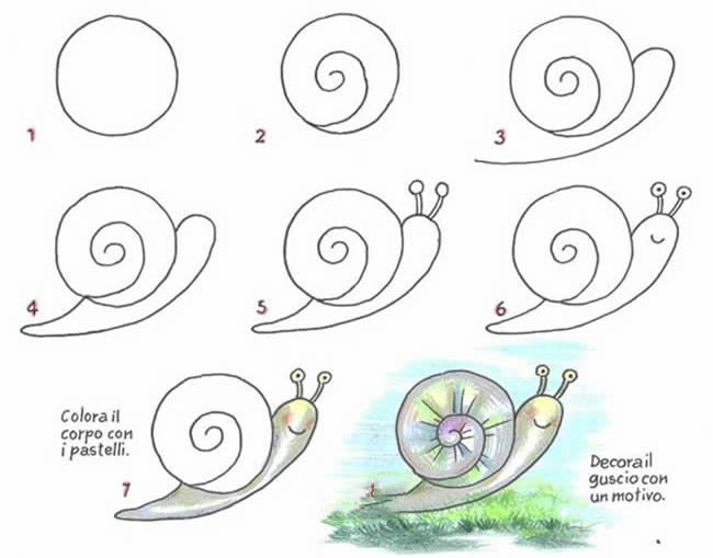 简笔画彩色蜗牛的图片步骤