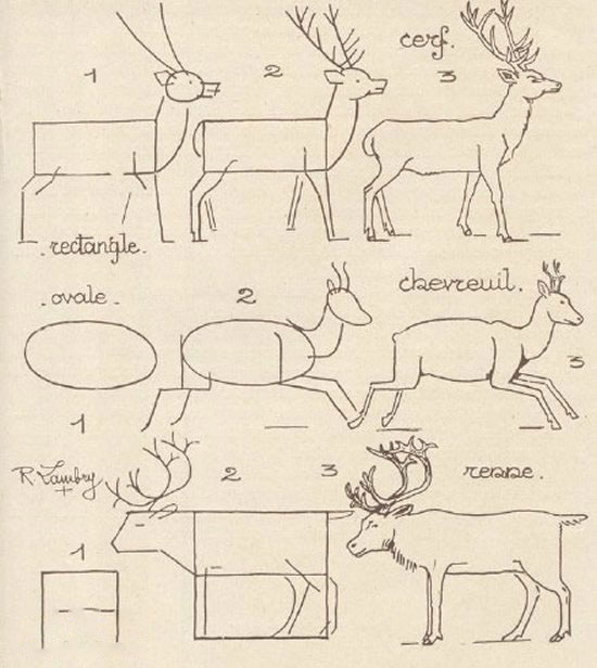 3种鹿的简笔画画法图片
