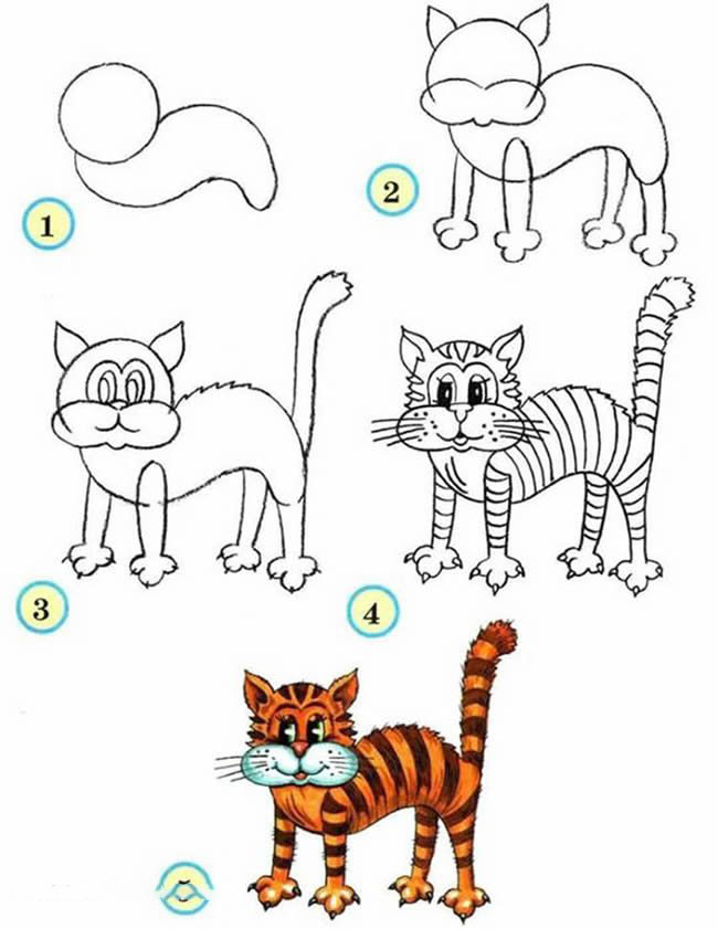 简笔画炸毛的猫咪画法步骤
