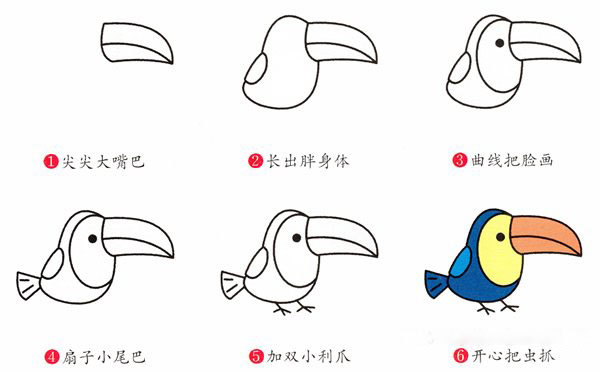 简笔画巨嘴鸟的画法步骤图