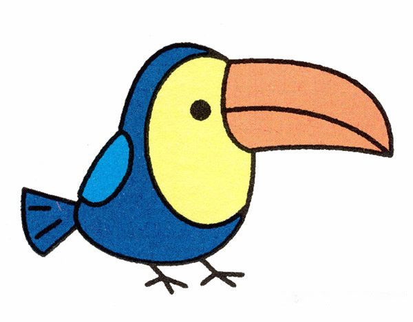 简笔画巨嘴鸟的画法步骤图
