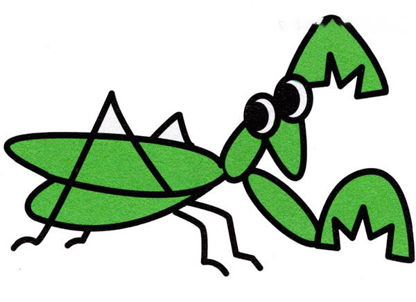 彩色螳螂简笔画的画法图片教程