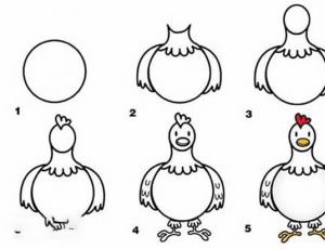 简笔画肥母鸡的图片步骤