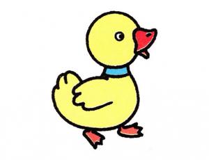 彩色的可爱小鸭子简笔画画法图片