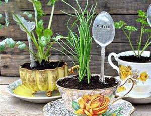 小学生科学手工小制作 教你用陶瓷茶具和印花勺子手工制作漂亮植物盆景