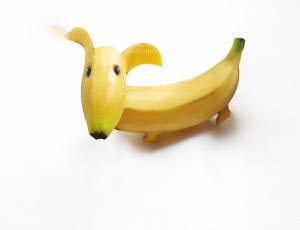 简单的DIY小手工 用美味的香蕉制作可爱的小狗的方法