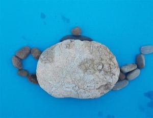 教你用石头制作创意儿童手工DIY茶壶拼贴画方法