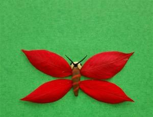 教你用树叶制作漂亮的儿童创意红蝴蝶的手工DIY方法