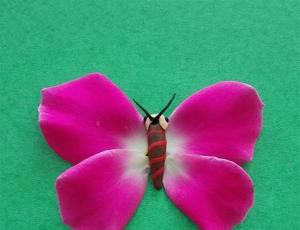 教你用橡皮泥和花瓣制作漂亮的手工DIY粉蝴蝶详细步骤