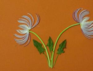教你用洋葱制作漂亮的儿童小手工菊花的详细步骤