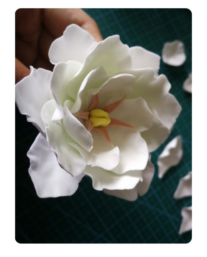 很漂亮的粘土白色小花朵做法