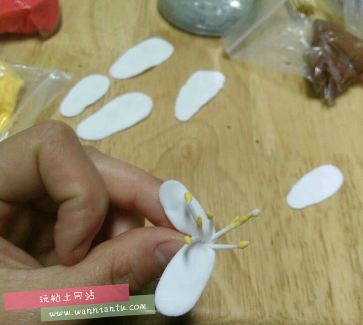 白色的粘土小花朵制作方法教学