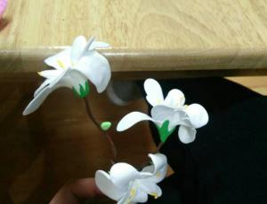 白色的粘土小花朵制作方法教学